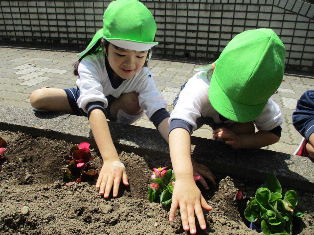 花植え（年中）