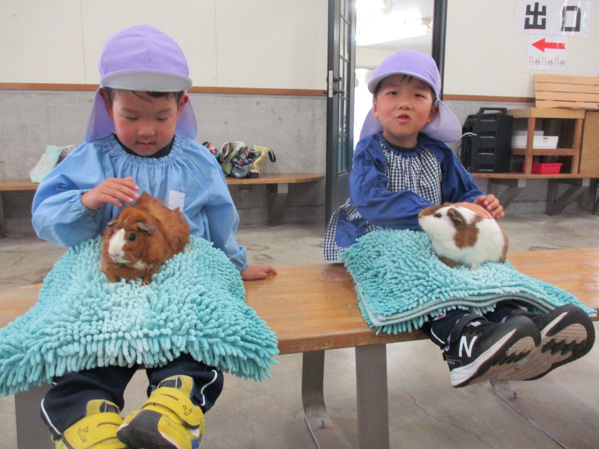 動物教室（年長）