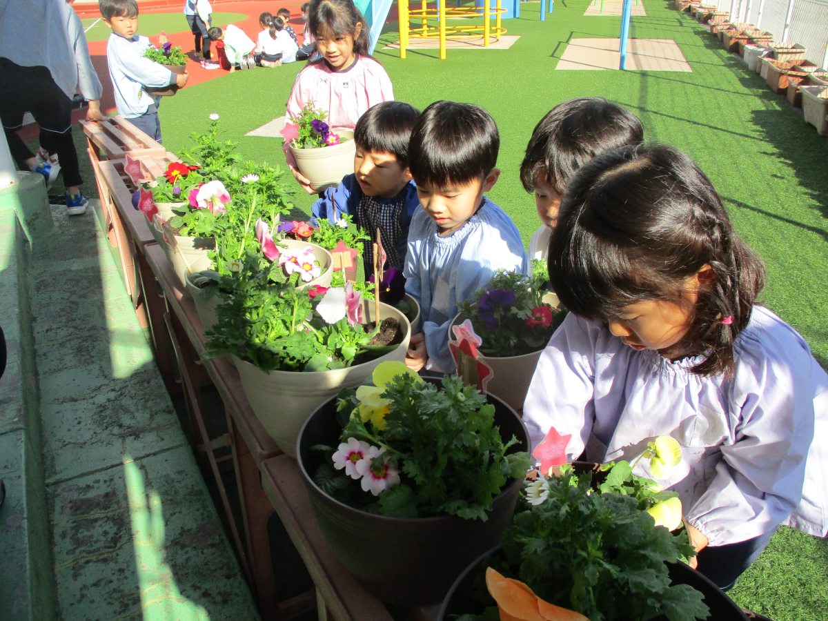 花育教室(年長)