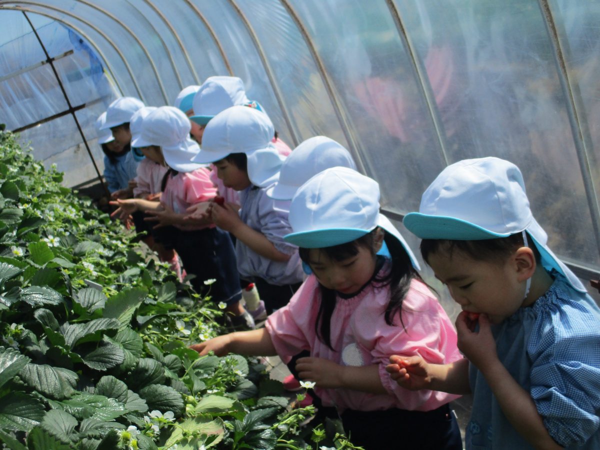 園外保育（年少）