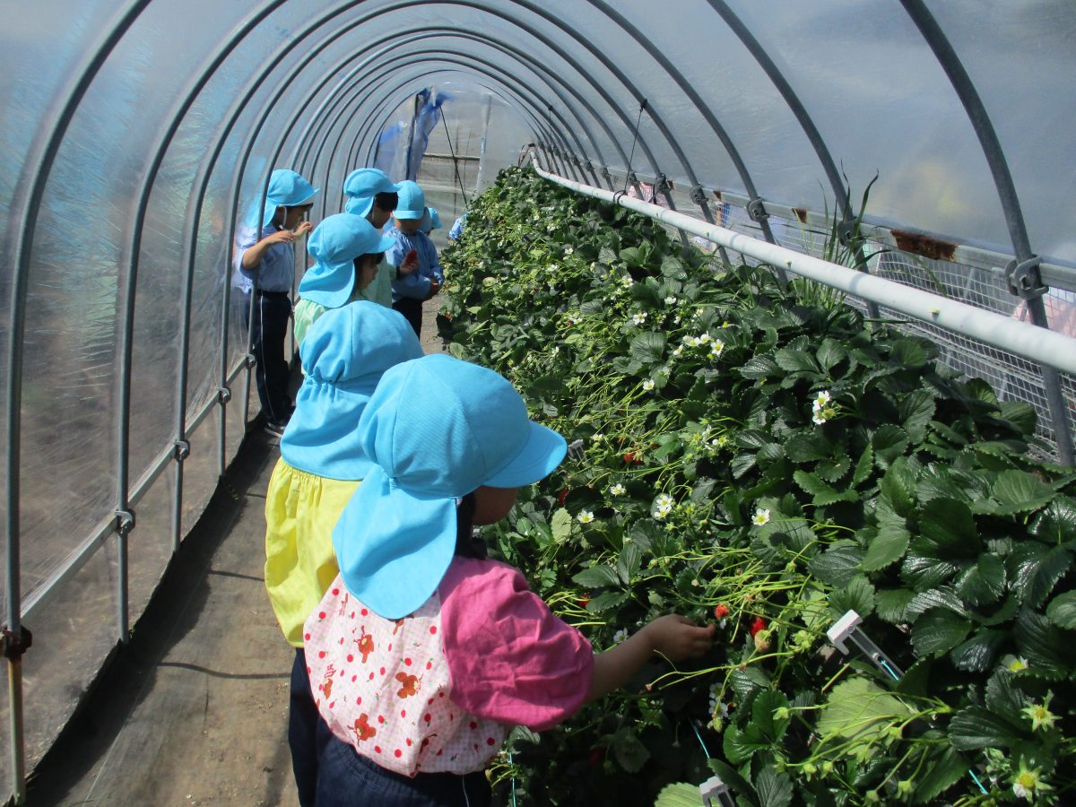 園外保育（年少）