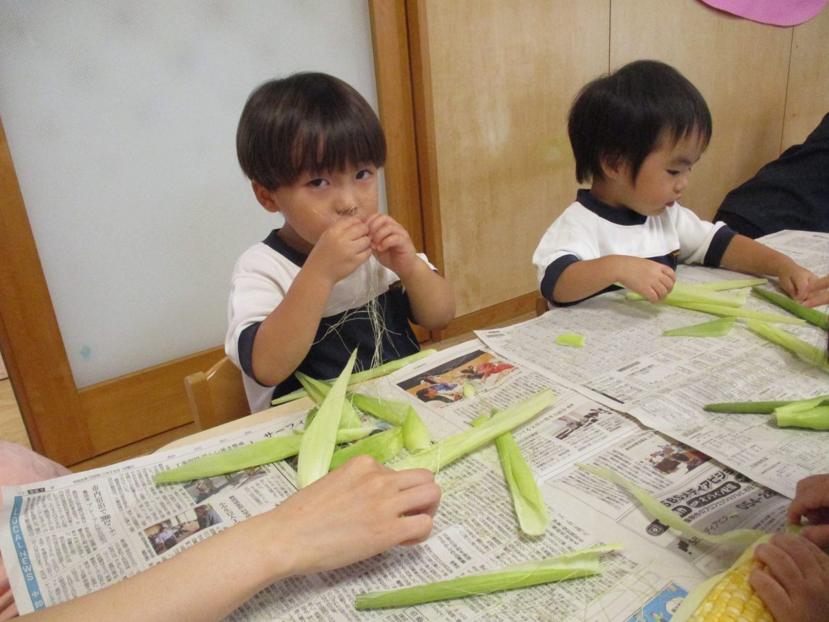 食育:とうもろこしの皮むき体験(乳児)