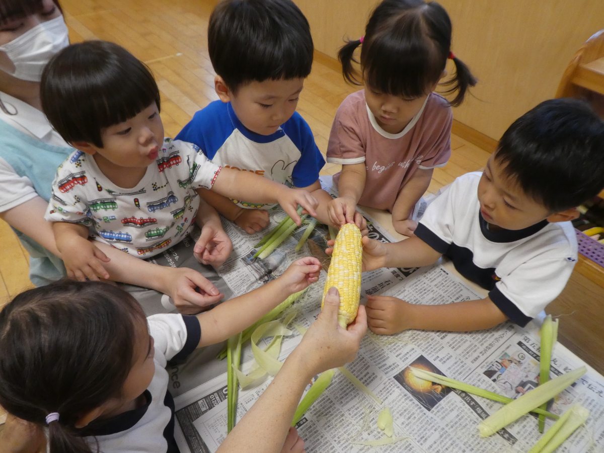 食育:とうもろこしの皮むき体験(乳児)